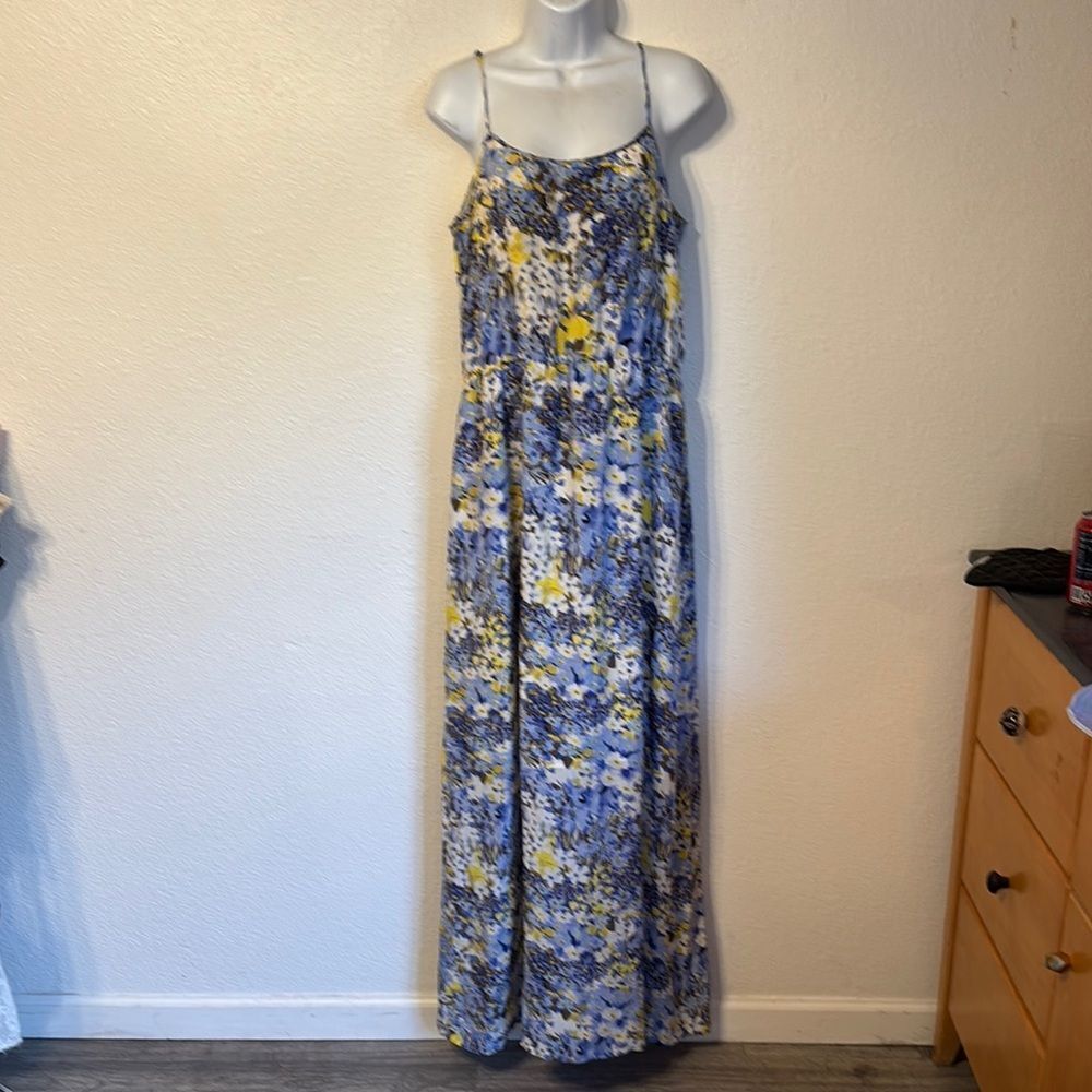 Banana Republic Silk Floral Sleeveless Maxi Dress Large